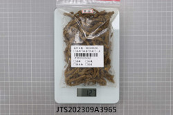 JTS202309A3965