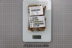 JTS202310A2890