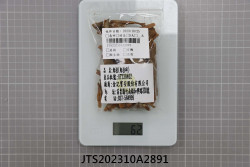 JTS202310A2891