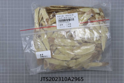 JTS202310A2965