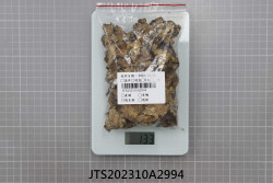 JTS202310A2994