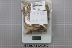 JTS202311A0242