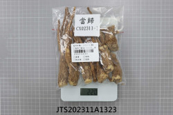 JTS202311A1323