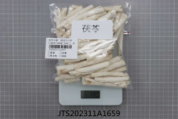 JTS202311A1659
