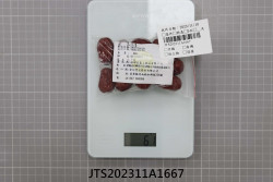 JTS202311A1667