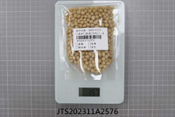 JTS202311A2576