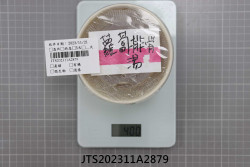 JTS202311A2879