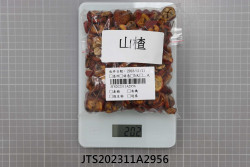 JTS202311A2956
