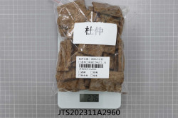 JTS202311A2960