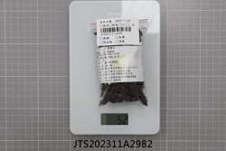 JTS202311A2982