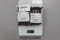 JTS202311A2983