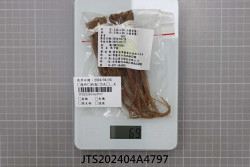 JTS202404A4797