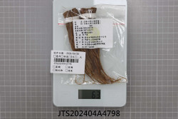 JTS202404A4798