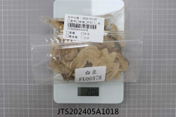 JTS202405A1018