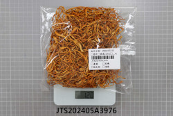 JTS202405A3976