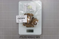 JTS202406A1565