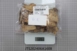 JTS202406A1608