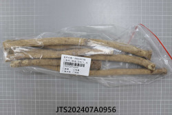 JTS202407A0956