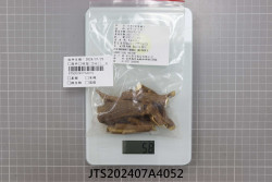 JTS202407A4052