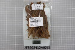 JTS202412A0266