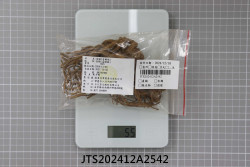 JTS202412A2542