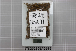 JTS202501A2162