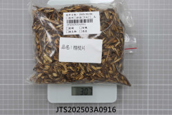JTS202503A0916