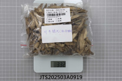 JTS202503A0919