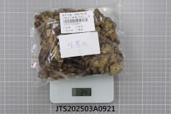 JTS202503A0921