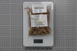 JTS202503A2856