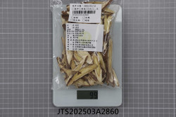 JTS202503A2860