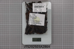 JTS202503A2864