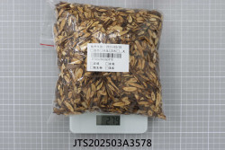 JTS202503A3578