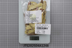 JTS202504A1248