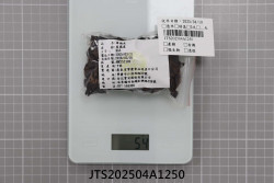 JTS202504A1250