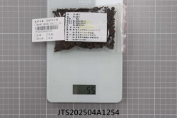 JTS202504A1254