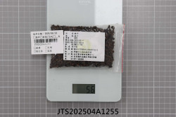 JTS202504A1255