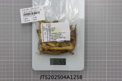 JTS202504A1258