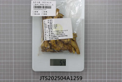 JTS202504A1259
