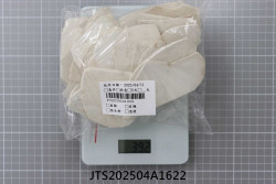 JTS202504A1622