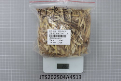 JTS202504A4513