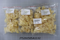 JTS202505A1132
