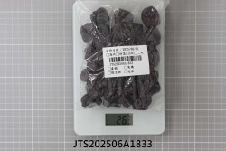 JTS202506A1833