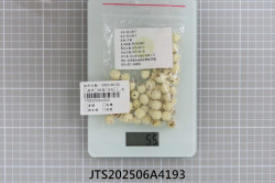 JTS202506A4193