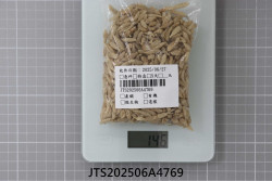 JTS202506A4769