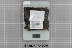 JTS202507A1595