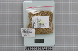 JTS202507A1612