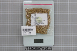 JTS202507A1613