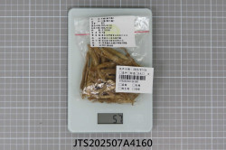JTS202507A4160