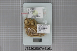 JTS202507A4161
